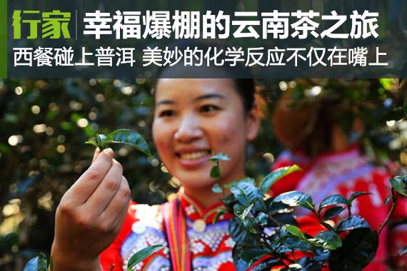 云南茶路 一条幸福爆棚的美食人文之旅