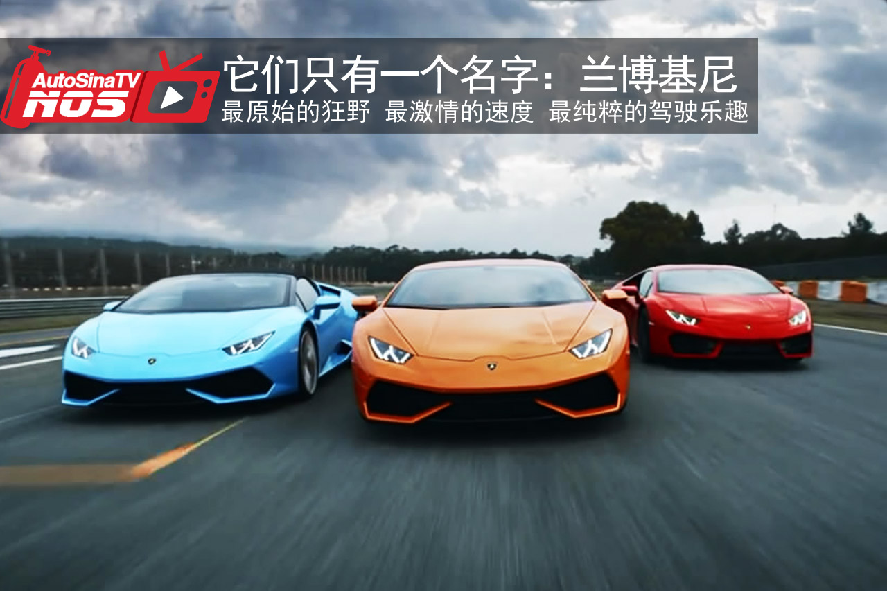 视频：它们只有一个名字——兰博基尼
