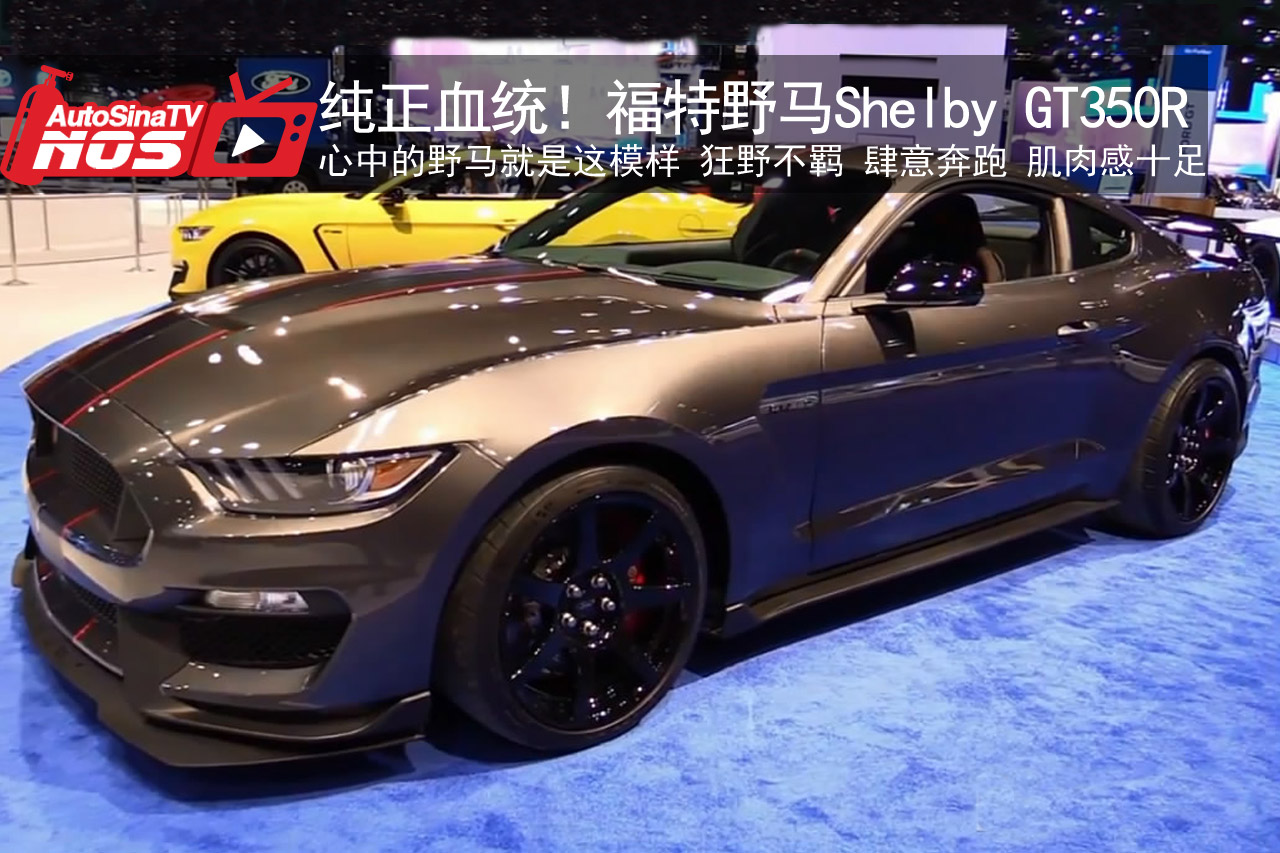 视频：纯正血统！野马Shelby GT350R 