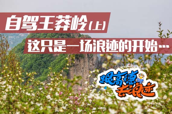 自驾王莽岭（上） 这只是一场浪迹的开始…