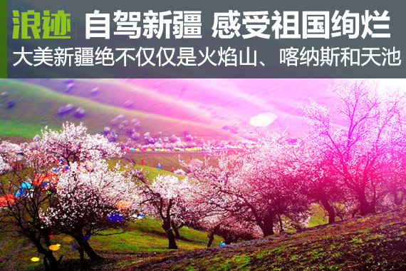 没自驾过新疆 你就不知道祖国多么绚烂！