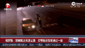 视频：狼群冲上高速 交警躲车里逃过一劫