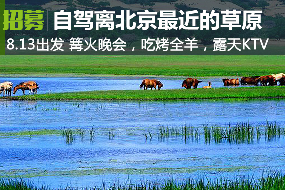 自驾离北京最近的天然草原，还送牛奶！