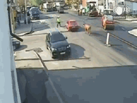 视频：这也能被撞飞？交警内心得有多憋屈