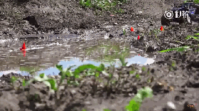 视频：以假乱真！越野车在泥塘玩乐
