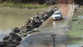 视频：好狗不挡道！可是遇见它该怎么办