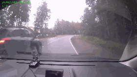 视频：警车追捕中撞树！目标逃之夭夭