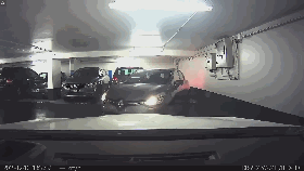 视频：倔强的司机！这个停车位我绝不放过