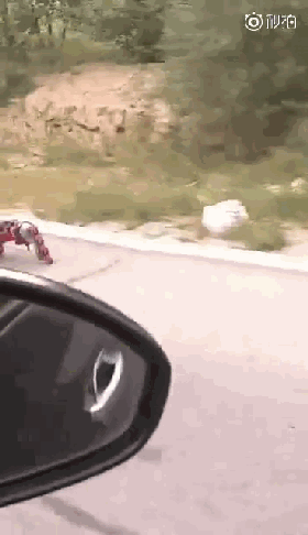 视频：男子造型很拉风 但是行为很危险