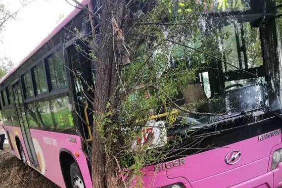 呼兰一女子撕扯司机失控公交车撞上大树