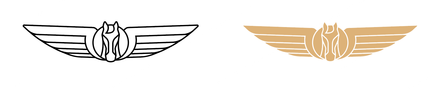 银河V系列专属“天马”车标