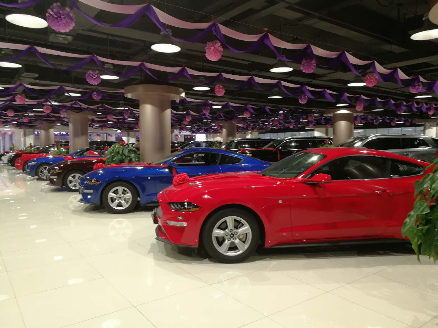 2019款福特野马2.3T报价 极致小跑平价