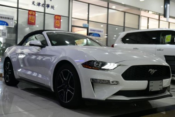 19款福特野马多种颜色可低价促销