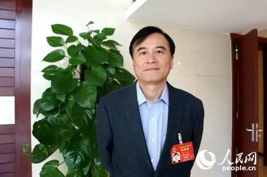 全国人大代表、江淮汽车董事长安进 (人民网记者 张磊 摄)