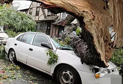 千万别把车停在这几种地方!不然后果很严重!