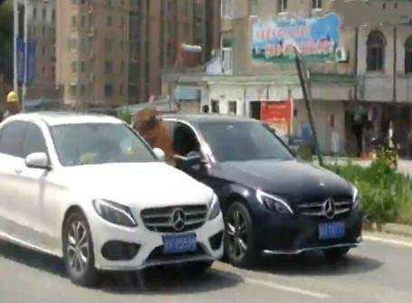 两辆豪车街头斗气 一女司机险被脱光