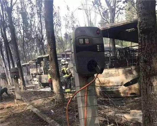 安全?骗补?蟹岛大火烧出什么