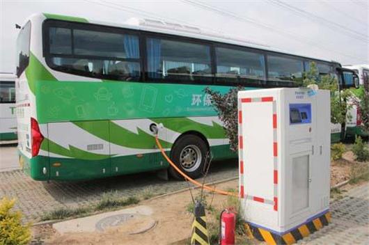 安全?骗补?蟹岛大火烧出什么