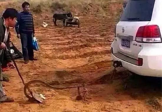 用保时捷卡宴搬砖,还是农民兄弟套路深