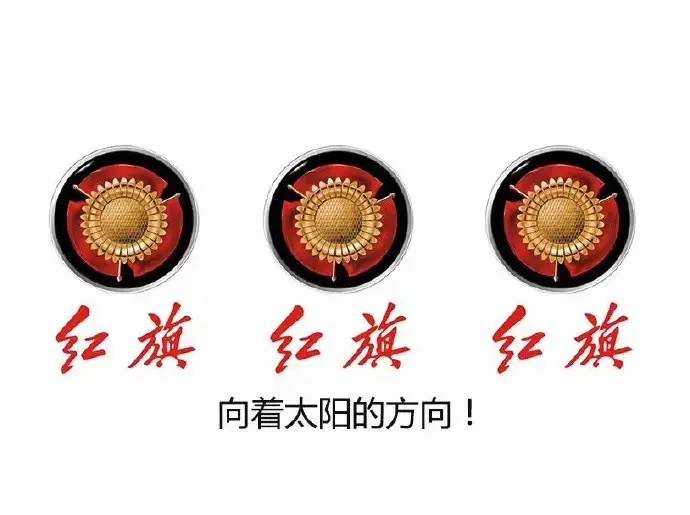 非洲小哥在天安门广场中暑晕倒,奔驰说:没晒得死-本事!