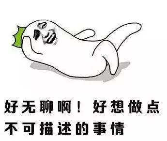 全新霸道、大众神车领衔，这些SUV引进国内必火！