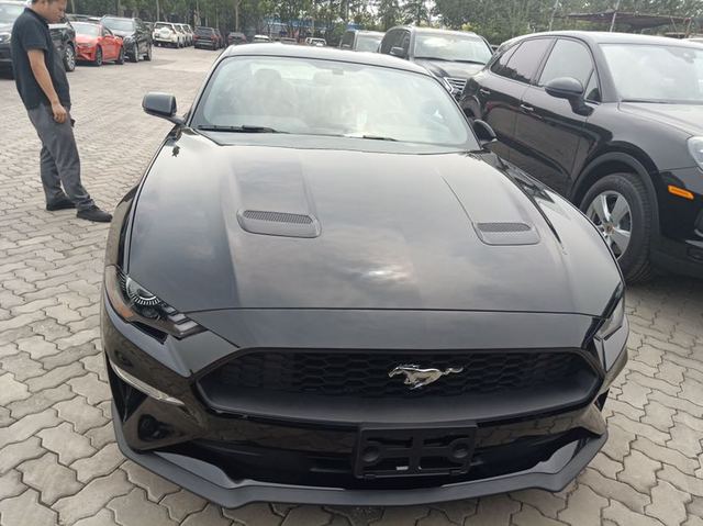 19款野马2.3T自动 P版港口现车配置解读