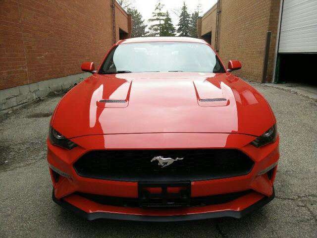 19款福特野马2.3T港口价格持续走低