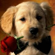 站长城 网友-sorkliu