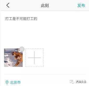 喜忧堪半|当PPT造车已入历史 新晋车企如何角力APP？