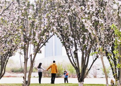 河西区银河广场花团锦簇、风景靓丽，许多市民带孩子来此赏景、拍照，亲近自然。