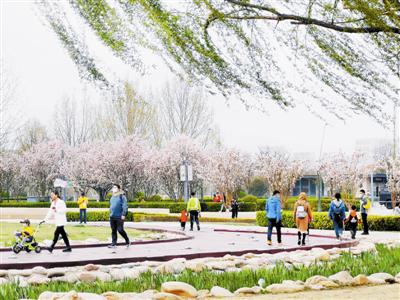 河西区银河广场花团锦簇、风景靓丽，许多市民带孩子来此赏景、拍照，亲近自然。