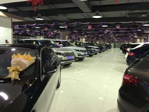 埃尔法蒙娜丽莎4座版展位现车中秋促销