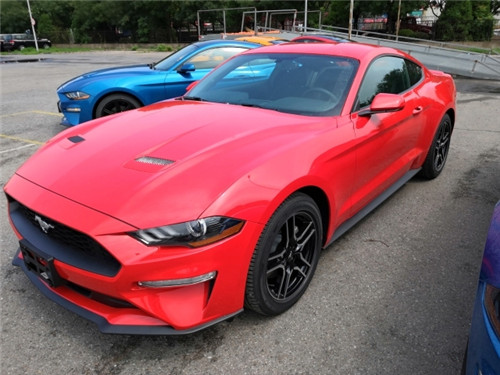 19款福特野马惊艳价月底特卖 极速超跑