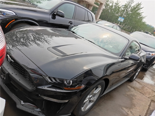 福特野马天津最新价格19款现车颜色齐全