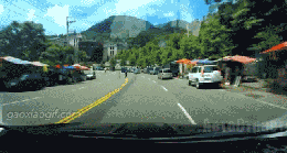 这位碰瓷大哥,演技能走点心不?