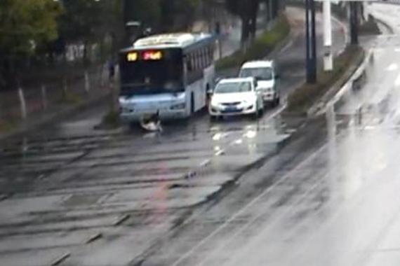 视频：车内争吵！女子突然下车被公交撞飞