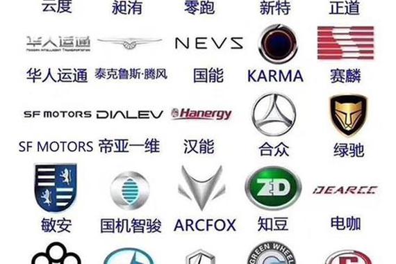 仅四地能新建厂？纯电动车项目审批收紧