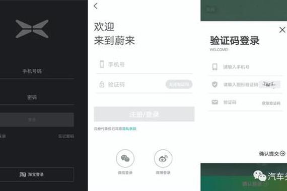喜忧堪半|当PPT造车已入历史 新晋车企如何角力APP？