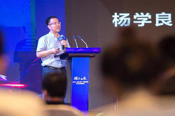 自主品牌削尖脑袋冲高端 专家：高端并不是必需品