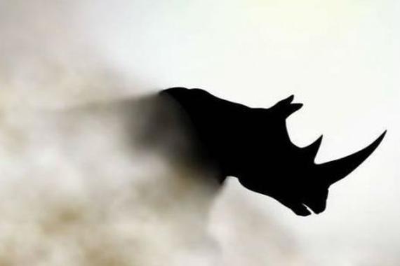 2019中国报告：佩奇大战“灰犀牛”