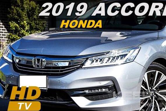 2019本田雅阁 日系三强最好开