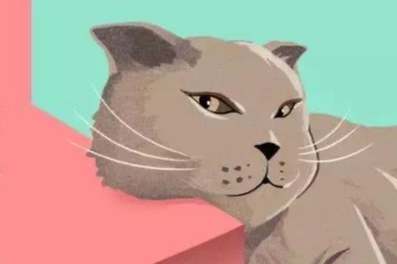 对不起，你的品牌成不了IP