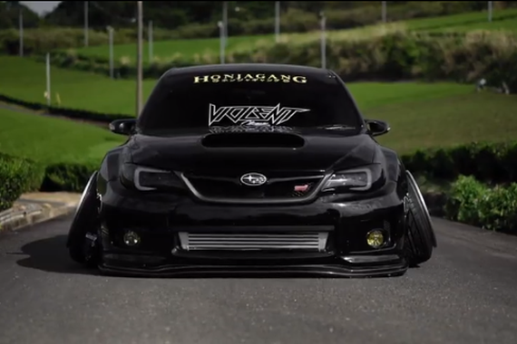 “横行霸道”的豹子