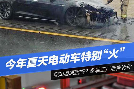 今年夏天电动车特别“火” 原因你知道吗？