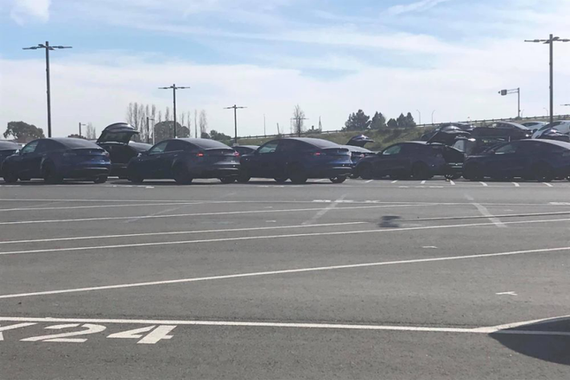 特斯拉加州弗里蒙特工厂下线大批Model Y 交付即将开启