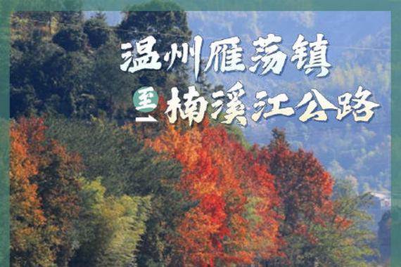 浙江| 十大最美自驾公路带你刷遍绿水青山