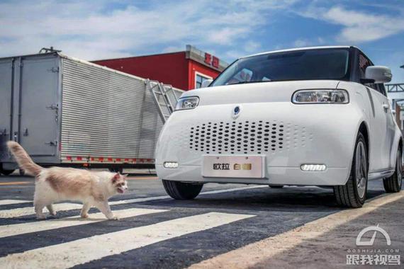 细分市场同比大跌65% 欧拉“撸猫”玩法能否激发后浪