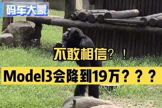 【码车大蒙】14 不敢相信 Model3会降到19万