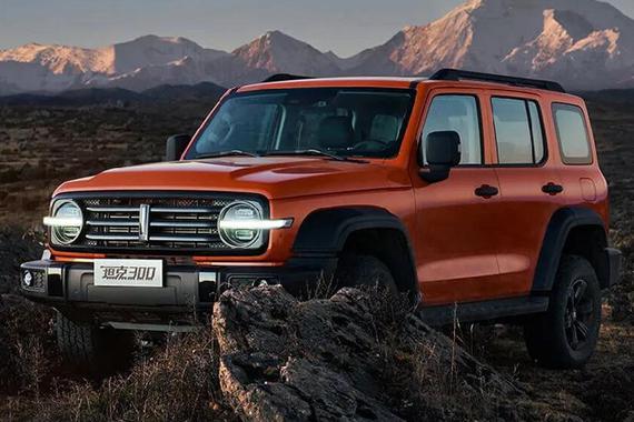 【小姐姐选车】哈弗大狗2.0T对比WEY坦克300