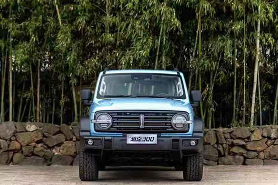 长城旗下的两款高端SUV 设计与性能兼备